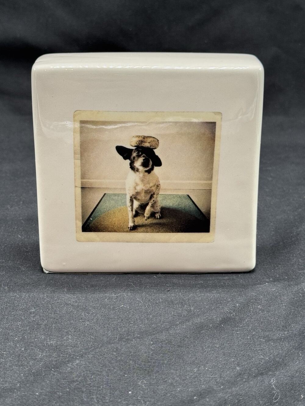 Rae Dunn Artisan Collection Ceramic Plaque "Have a Balanced Meal" Dog Polaroid